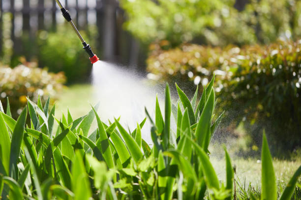 Tamper-Resistant Bait Stations for Rodents in Guerneville