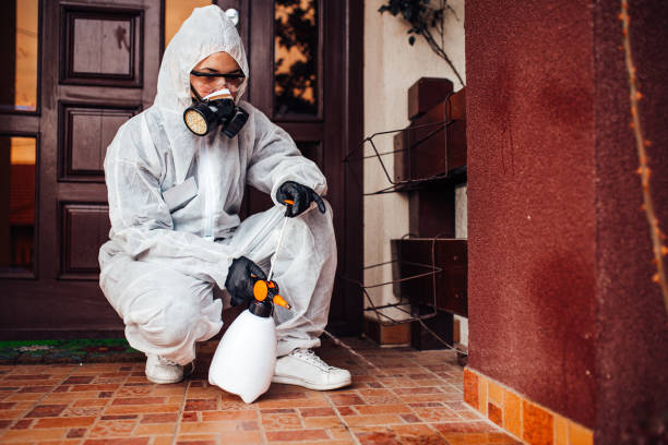 Attic and Crawl Space Rodent Treatment in Guerneville